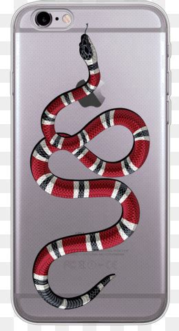 gucci serpente corallo|origin of Gucci snake.